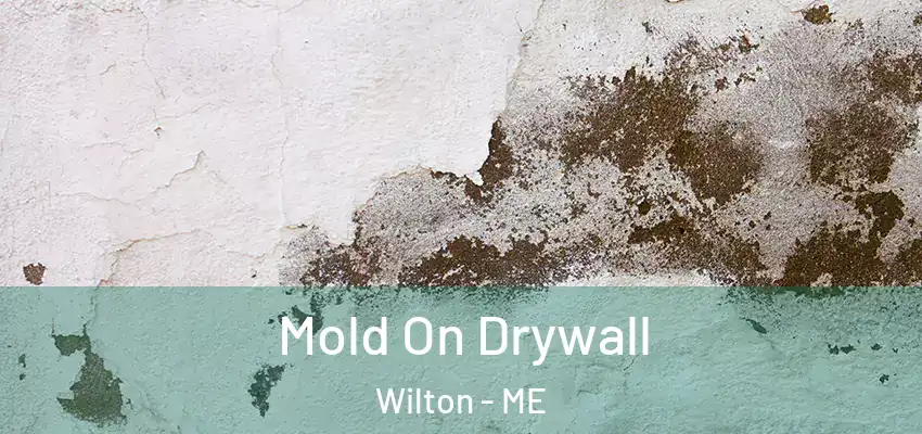  Mold On Drywall Wilton - ME