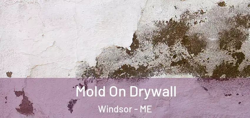  Mold On Drywall Windsor - ME