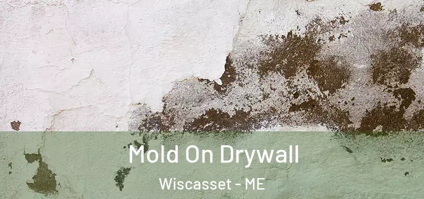  Mold On Drywall Wiscasset - ME