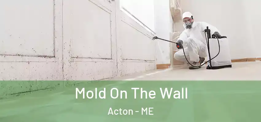  Mold On The Wall Acton - ME