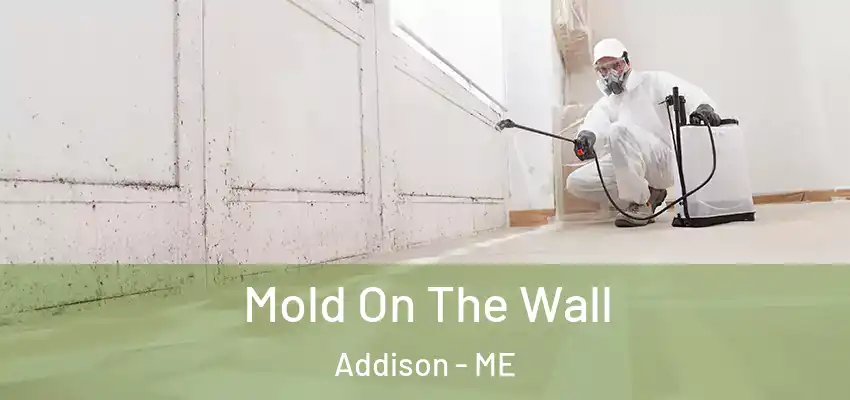 Mold On The Wall Addison - ME