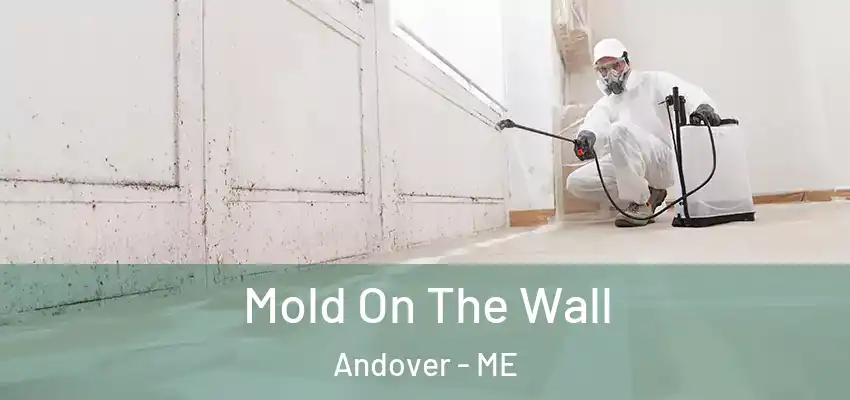 Mold On The Wall Andover - ME