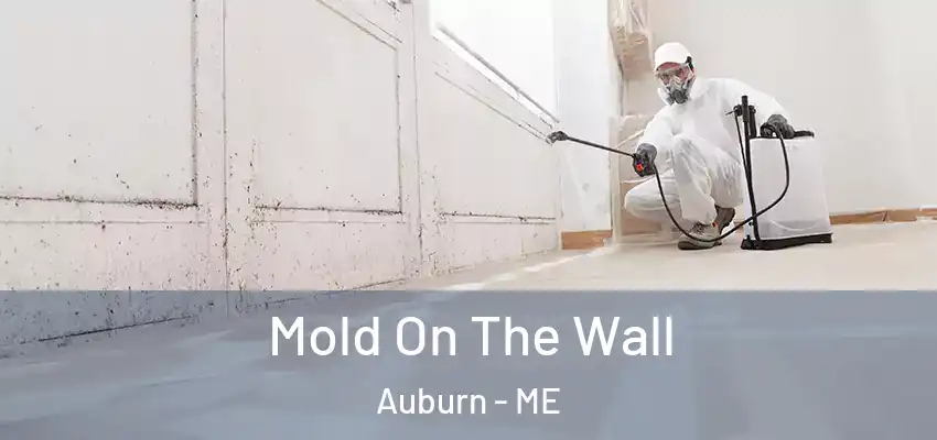 Mold On The Wall Auburn - ME