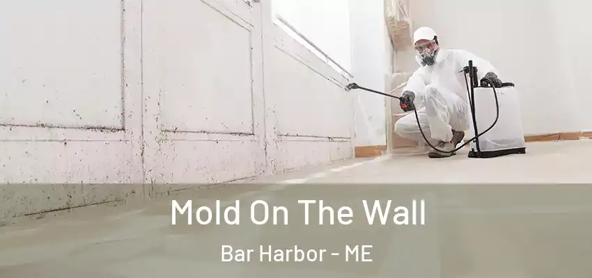 Mold On The Wall Bar Harbor - ME