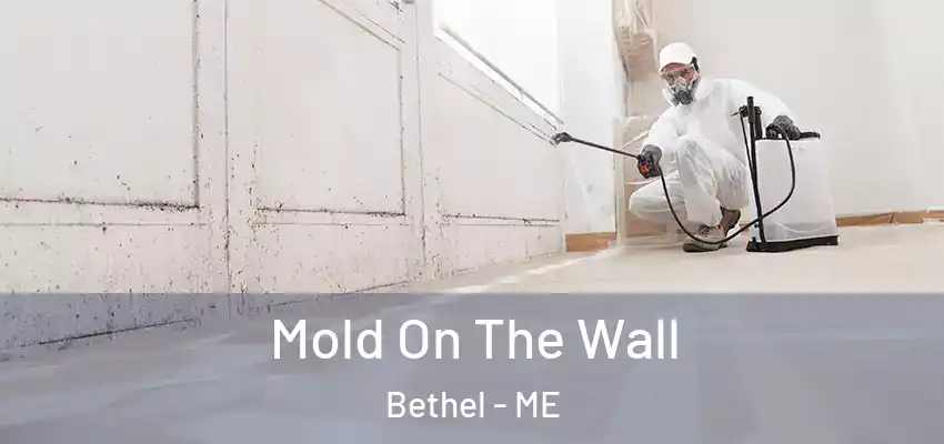  Mold On The Wall Bethel - ME