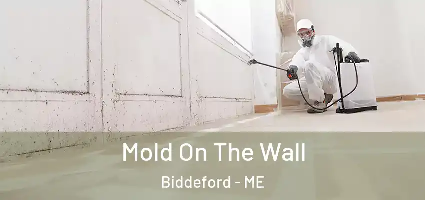  Mold On The Wall Biddeford - ME