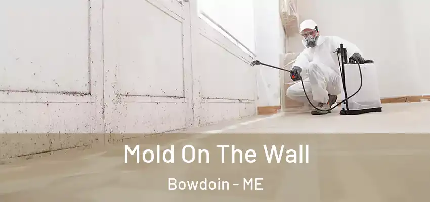  Mold On The Wall Bowdoin - ME