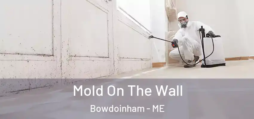  Mold On The Wall Bowdoinham - ME