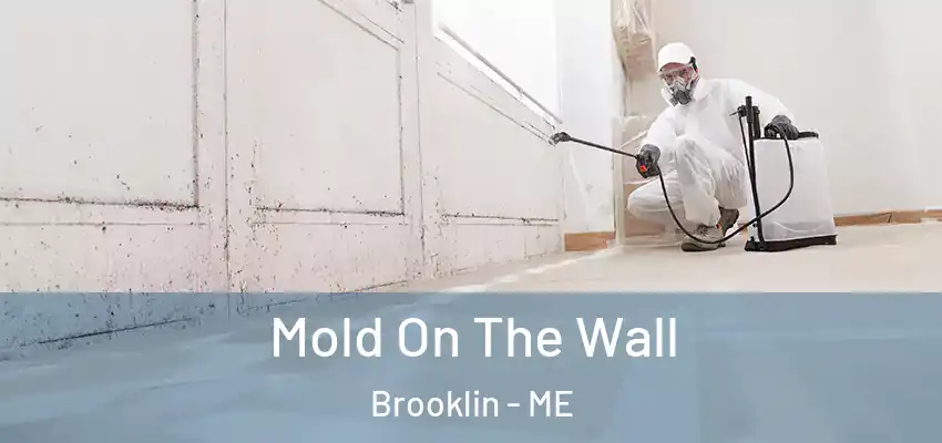 Mold On The Wall Brooklin - ME