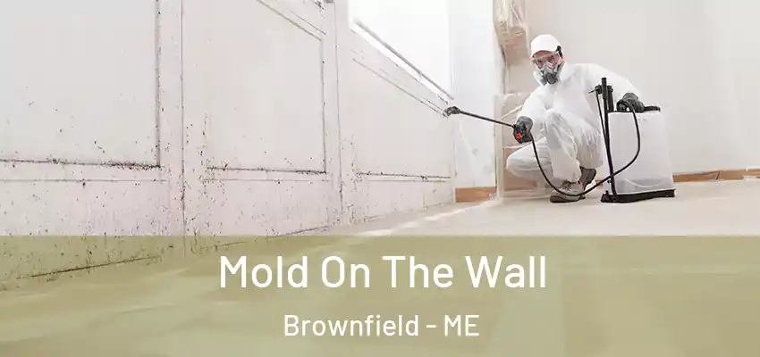  Mold On The Wall Brownfield - ME