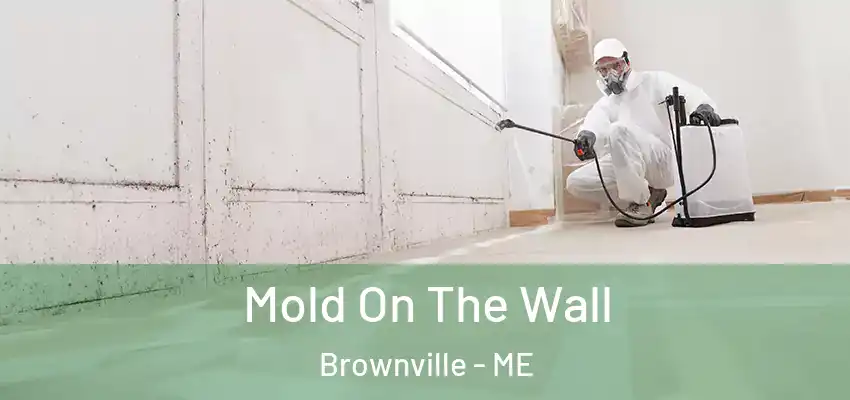 Mold On The Wall Brownville - ME