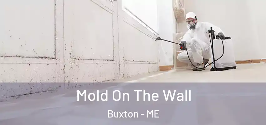  Mold On The Wall Buxton - ME