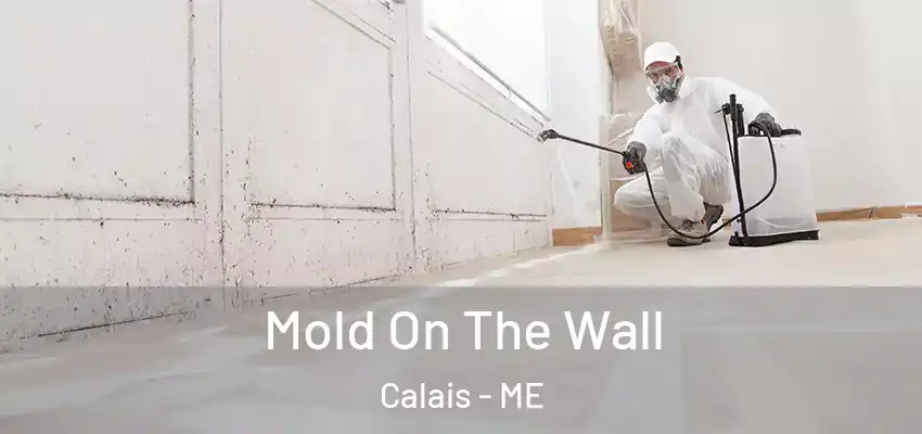  Mold On The Wall Calais - ME