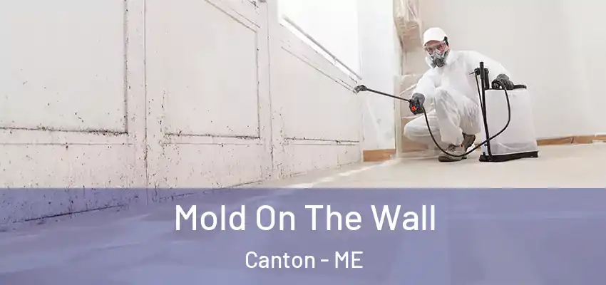  Mold On The Wall Canton - ME