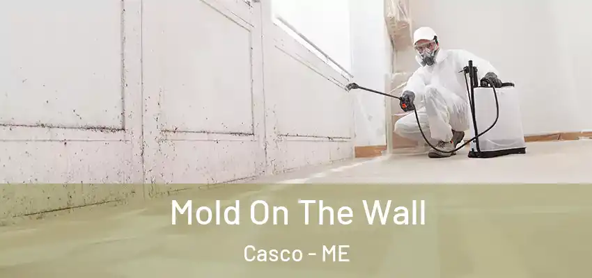  Mold On The Wall Casco - ME