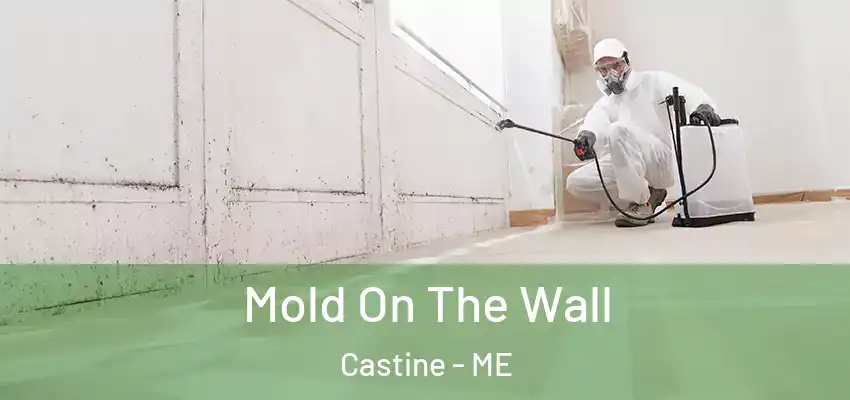  Mold On The Wall Castine - ME
