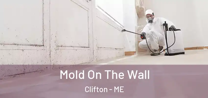 Mold On The Wall Clifton - ME