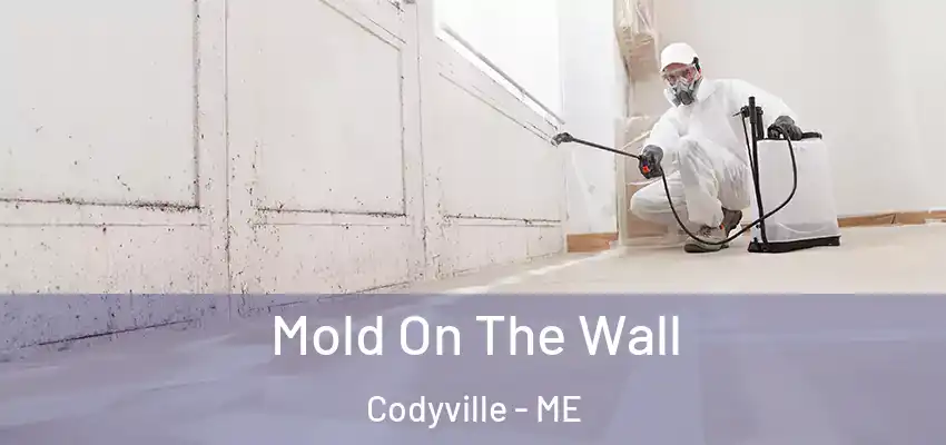 Mold On The Wall Codyville - ME