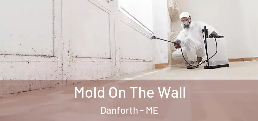  Mold On The Wall Danforth - ME