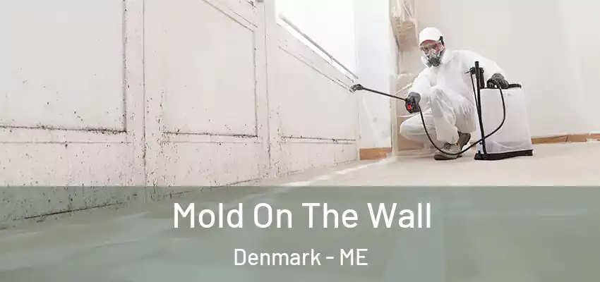 Mold On The Wall Denmark - ME