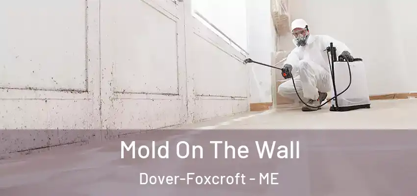  Mold On The Wall Dover-Foxcroft - ME