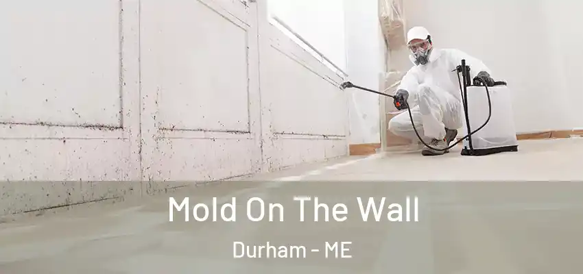 Mold On The Wall Durham - ME