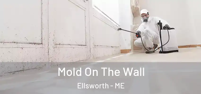 Mold On The Wall Ellsworth - ME