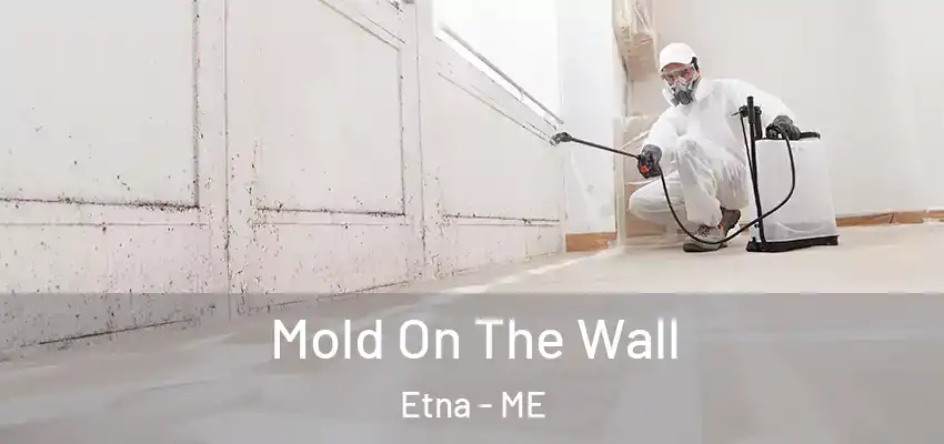Mold On The Wall Etna - ME
