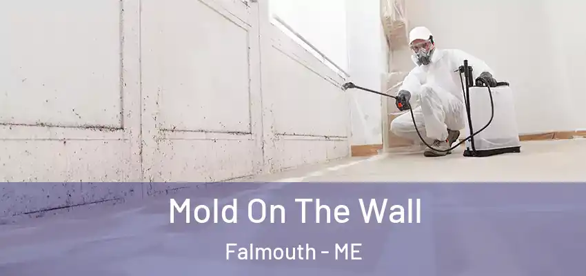  Mold On The Wall Falmouth - ME