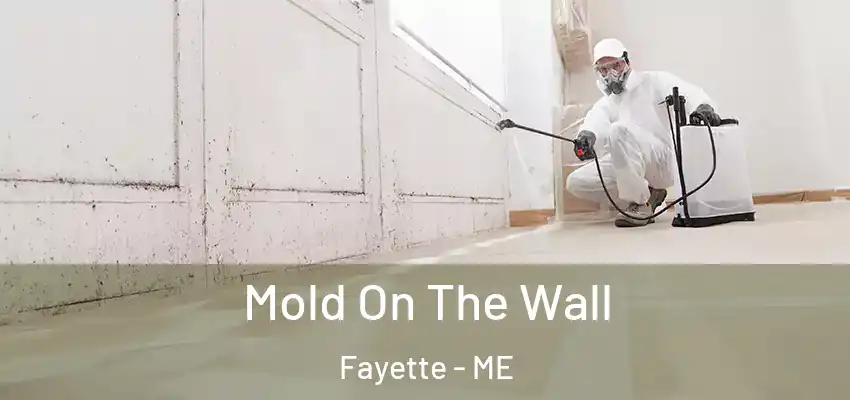  Mold On The Wall Fayette - ME