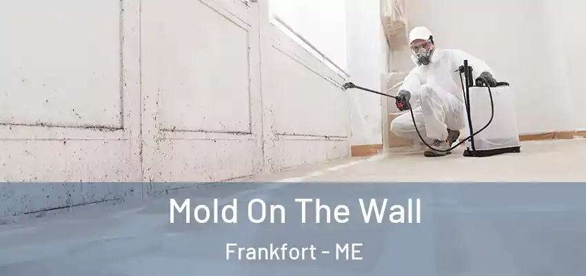 Mold On The Wall Frankfort - ME