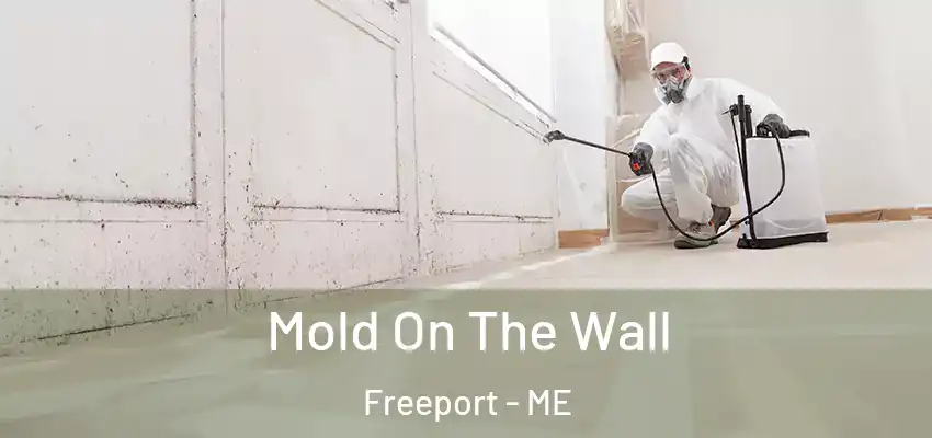 Mold On The Wall Freeport - ME