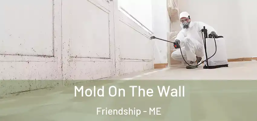  Mold On The Wall Friendship - ME