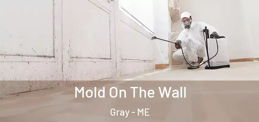  Mold On The Wall Gray - ME