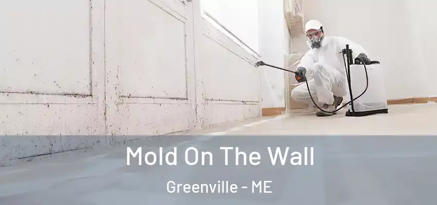  Mold On The Wall Greenville - ME