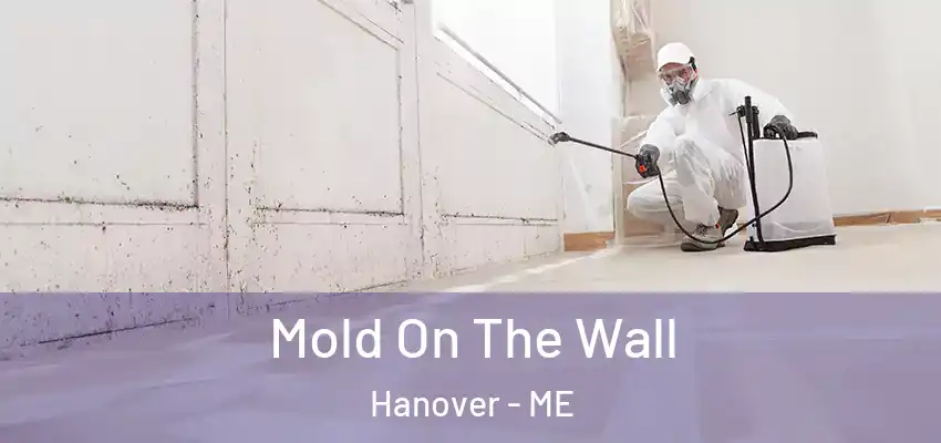 Mold On The Wall Hanover - ME