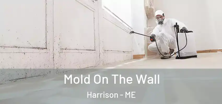 Mold On The Wall Harrison - ME