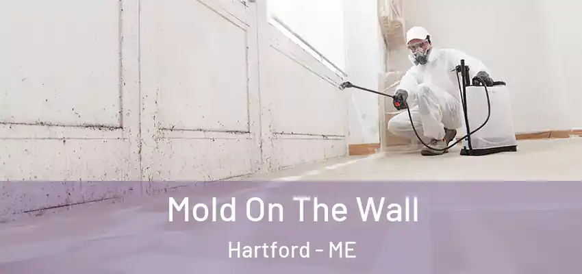 Mold On The Wall Hartford - ME