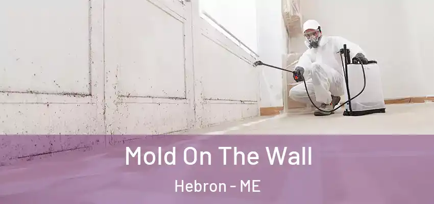  Mold On The Wall Hebron - ME