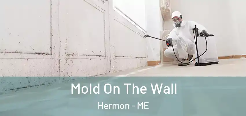  Mold On The Wall Hermon - ME