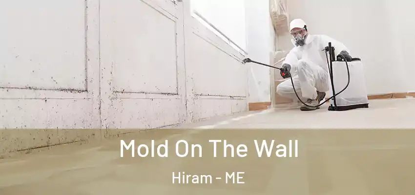 Mold On The Wall Hiram - ME