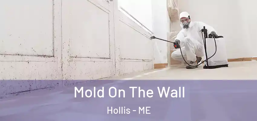  Mold On The Wall Hollis - ME