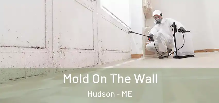 Mold On The Wall Hudson - ME