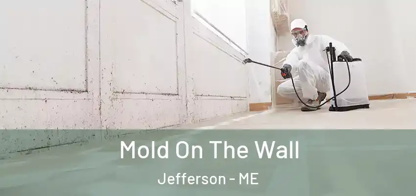 Mold On The Wall Jefferson - ME