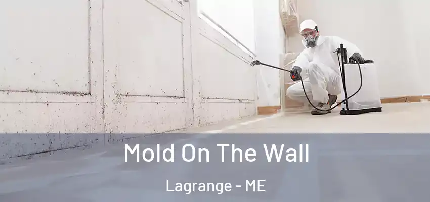Mold On The Wall Lagrange - ME