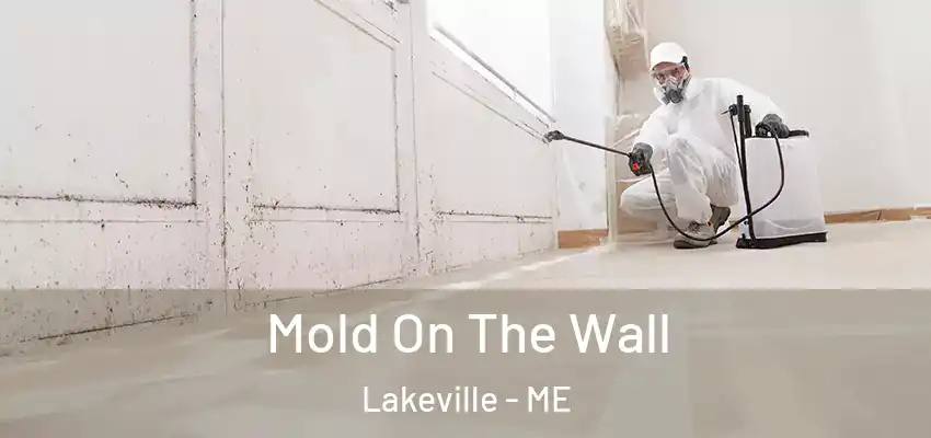  Mold On The Wall Lakeville - ME