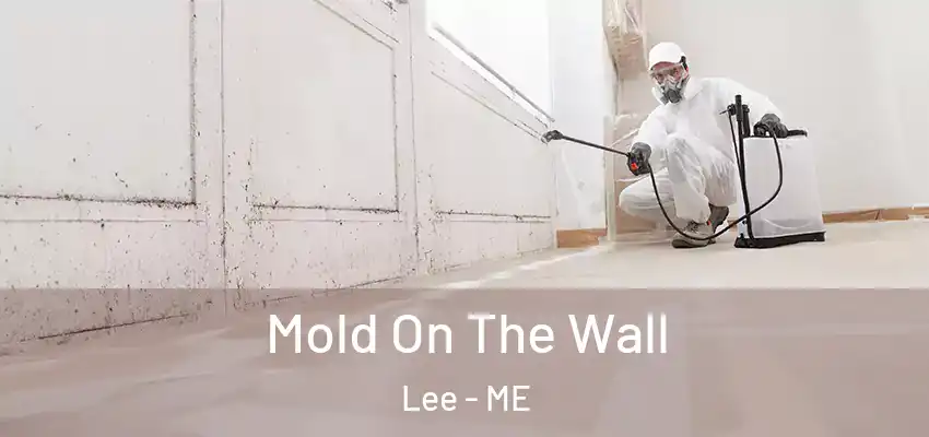 Mold On The Wall Lee - ME