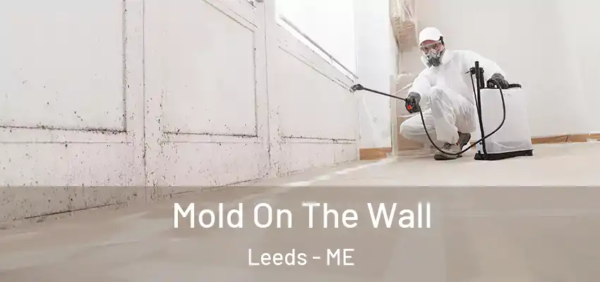  Mold On The Wall Leeds - ME