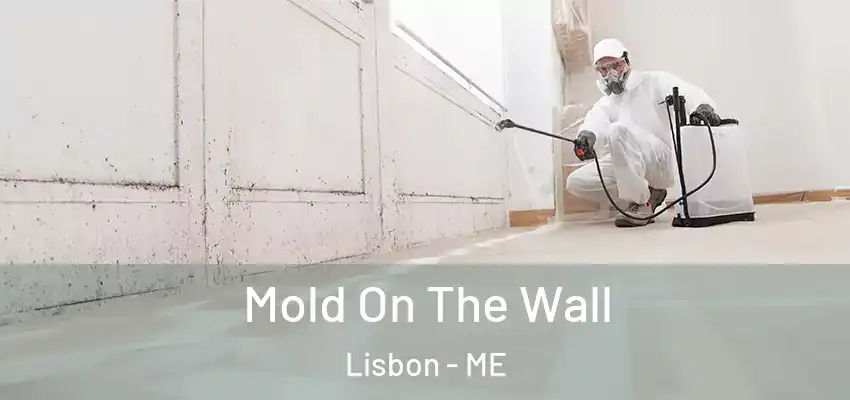Mold On The Wall Lisbon - ME