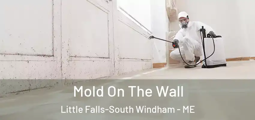 Mold On The Wall Little Falls-South Windham - ME